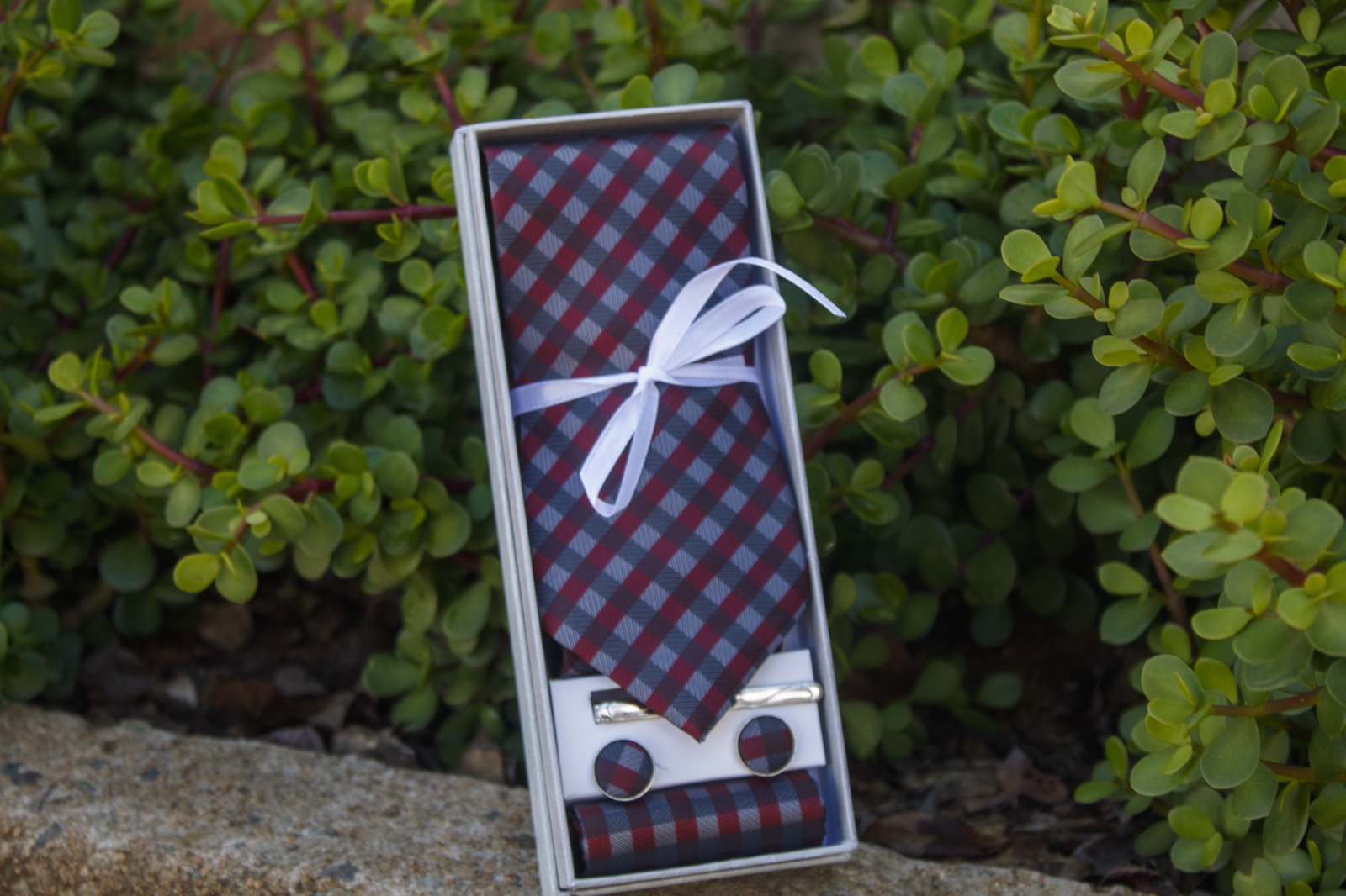 Burgundy Check Set