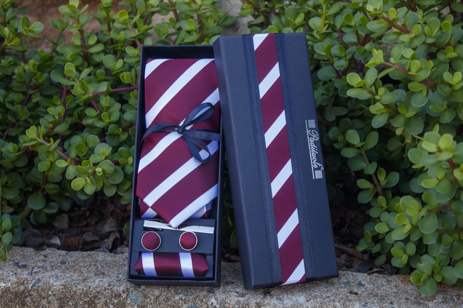 Burgundy Stripe Set