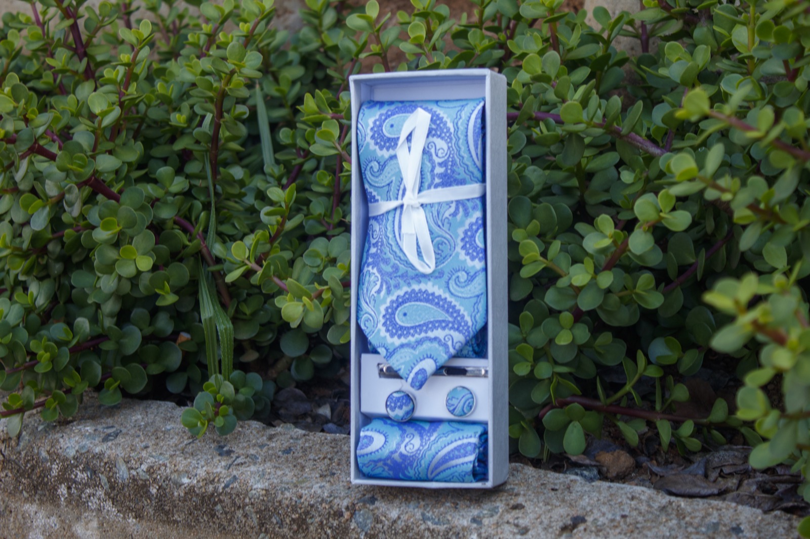 Cobalt Paisley Set