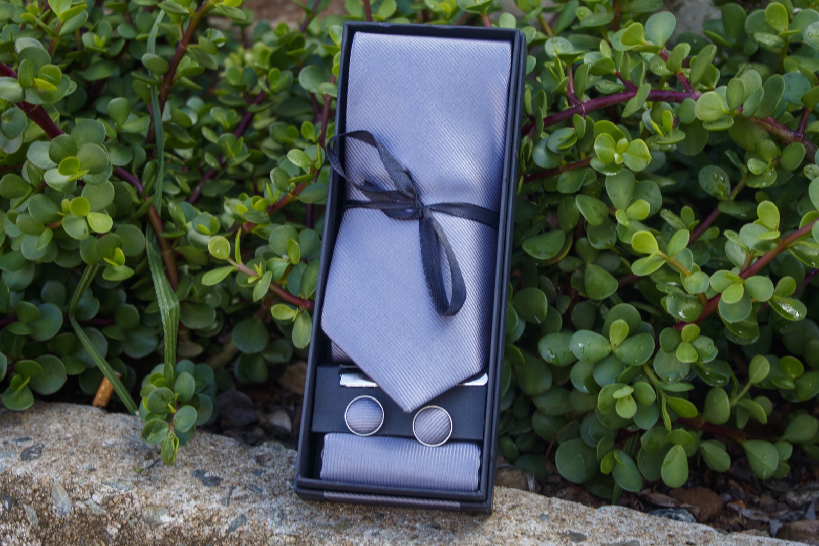 Dove Grey Sheen Set