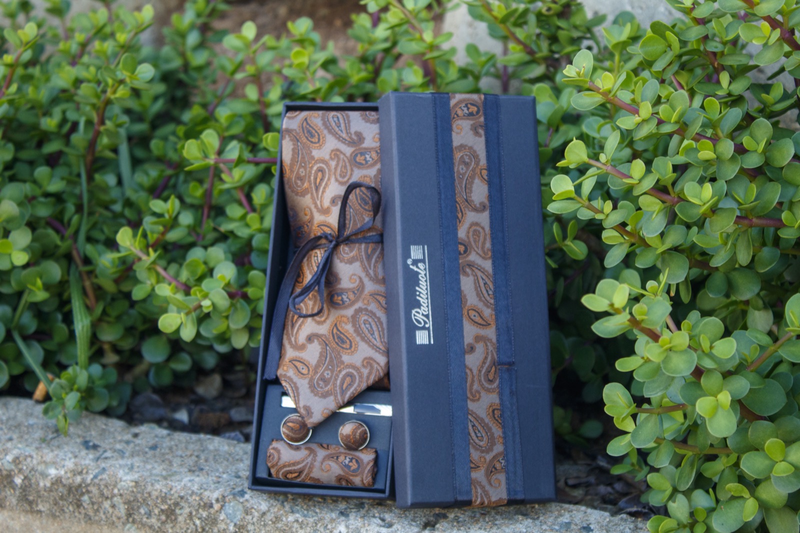 Umber Paisley Set